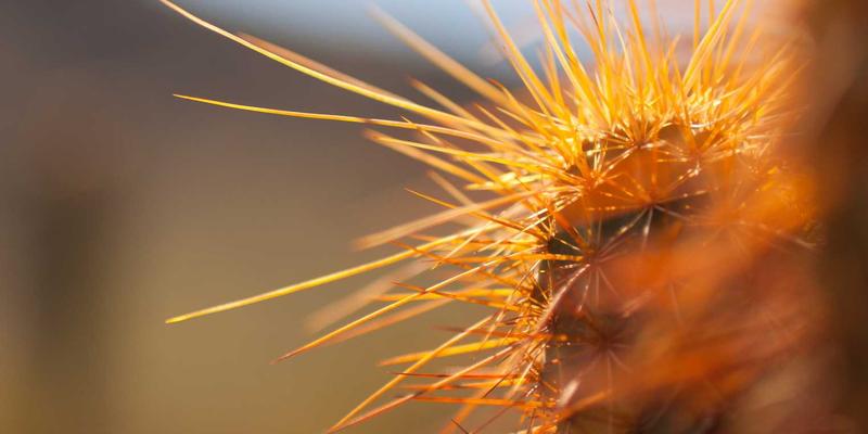 HZKEDU：解锁学历提升新路径，赋能职业发展新未来