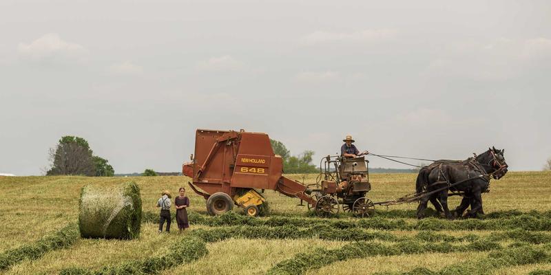 STEAM教育本土化实践：HZKEDU如何以职业资格为导向重塑青少年课外培训