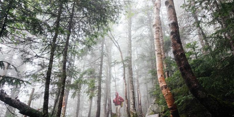 企业培训与学历提升双轮驱动：HZKEDU如何赋能职场人终身成长