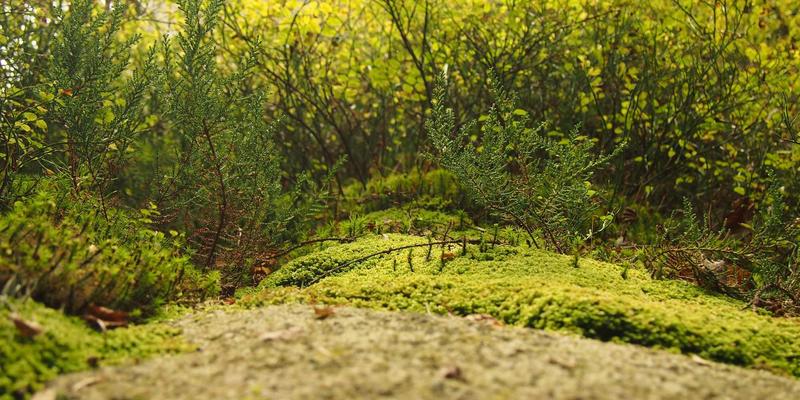 企业培训与职业发展新引擎：如何用大数据精准驱动学历提升与学习效果