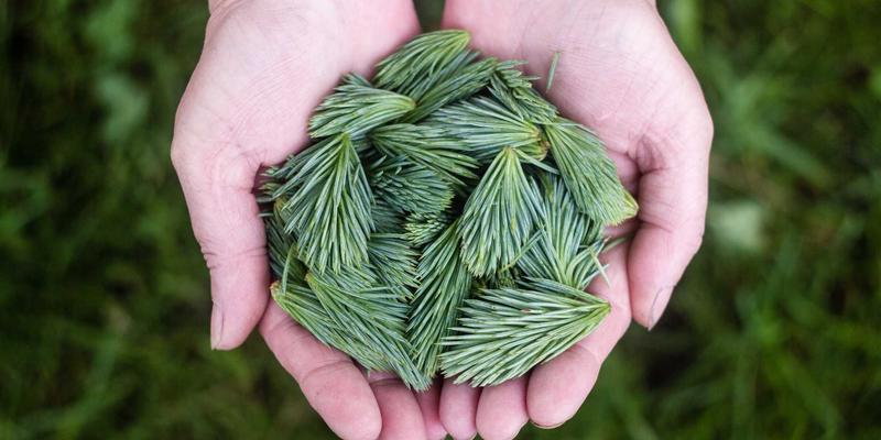 元宇宙赋能未来教育：虚拟仿真技术如何重塑企业培训与学历提升新生态