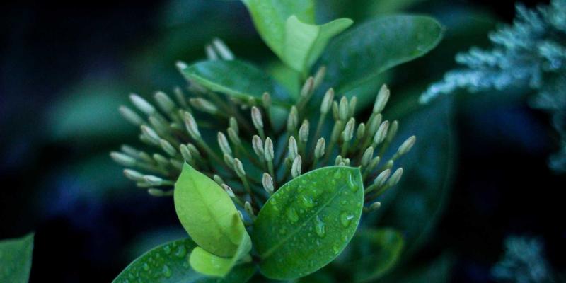 培训效果如何量化？掌握柯氏四级模型与ROI计算，提升职业资格与学历教育投资回报