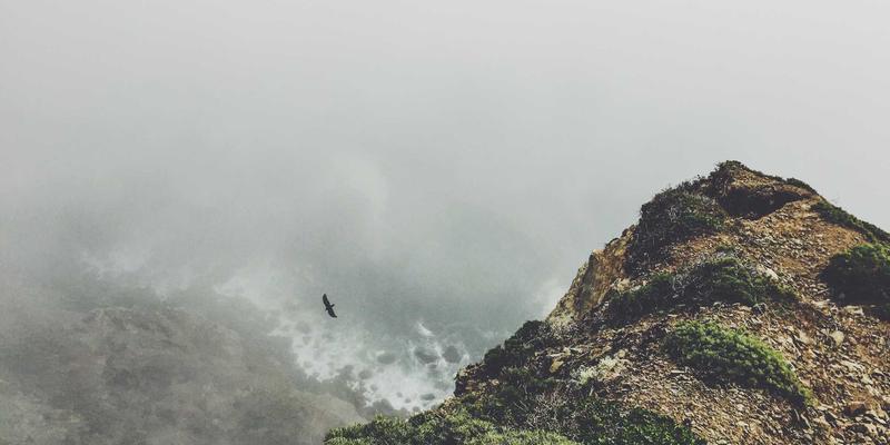 教育培训91：职业资格、学历提升与企业培训的协同发展之道