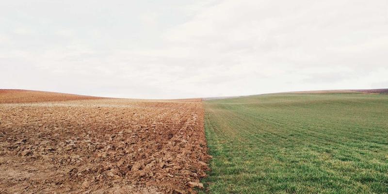 教育培训如何赋能职业发展？学历提升与技能进阶的双轨战略