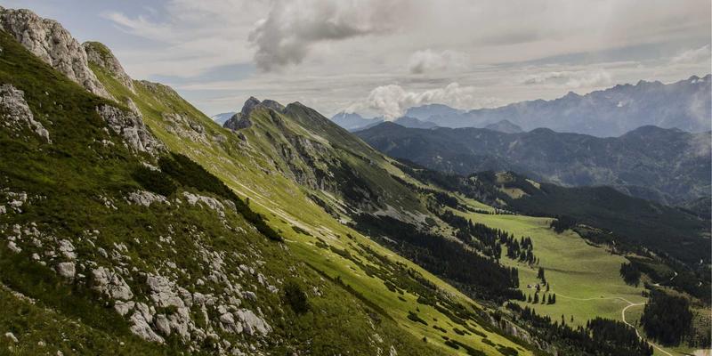 混合式学习模式设计：后疫情时代学历提升与企业培训的无缝衔接策略