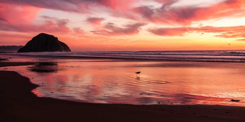 游戏化学习设计：驱动K12学科辅导与职业启蒙的创新引擎，助力学历提升与职业资格获取