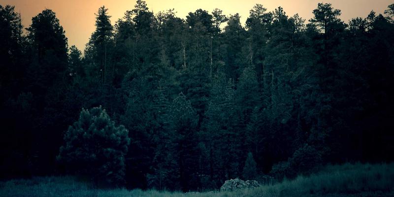 职业资格、企业培训与在职硕士：如何为你的在线教育平台选择最佳课程体系